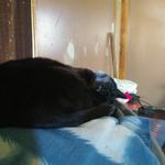 Profile Picture of Kim Cushing (@kim.cushing.906) on Instagram