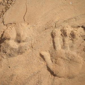 Profile Picture of Nelson Pierce (@409887514) on Myspace