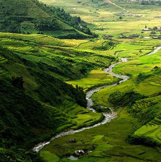 Profile Picture of Jeffry Tangki (@jeffry.tangki) on Facebook