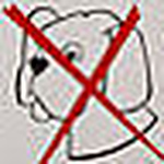 Profile Picture of Indira Chatterjee (@indira) on Flickr