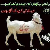 Profile Picture of Amir Azad (@amirazad9848) on Youtube