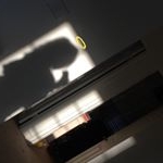 Profile Picture of Alice 🥀 (@xoalizee) on Instagram