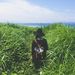 Profile Picture of Hendrix Gordon  (@hendrixgordon22510) on Pinterest