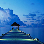 Profile Picture of Fiona Lin (@h910300) on Flickr