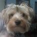 Profile Picture of Paula Isbell-Caughron (@isbellp) on Pinterest