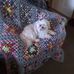 Profile Picture of Todd Jefferies (@todd.jefferies.520) on Facebook