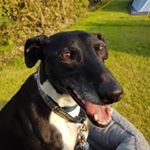 Profile Picture of Cross Rudd (@rosscudd77) on Instagram