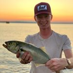 Profile Picture of Brad Hollingsworth (@_bradhollingsworth) on Instagram
