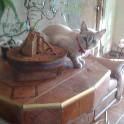 Profile Picture of Henry Padron (@HenryPadron2) on Twitter