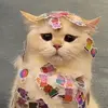 Profile Picture of Sethbridge (@annewatson930) on Tiktok