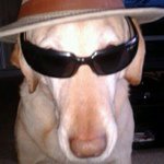 Profile Picture of Dr. Randall C. Gregson (@rinokiro) on Instagram