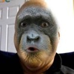 Profile Picture of Sylvain Lemieuxl (@sylvainlemieuxl) on Instagram