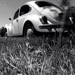 Profile Picture of Christopher Weigand (@wigmundf) on Instagram