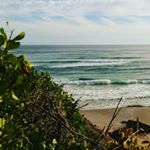 Profile Picture of Bradley (@bell.bradley) on Instagram