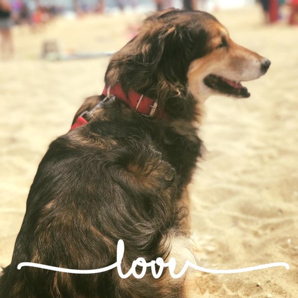 Profile Picture of Leah Ballamy blalock (@leahblalock) on Poshmark