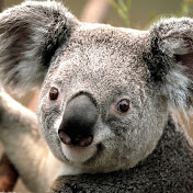 Profile Picture of Joe Rick (@jrick1000) on Youtube