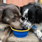 Profile Picture of Matthew Carrino (@Matthew5868) on Facebook