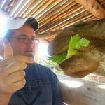 Profile Picture of Killian Wade (@kwadeco) on Instagram