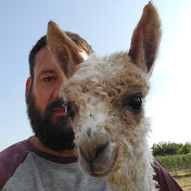 Profile Picture of Matthew Torres (@matthewtorres2722) on Youtube