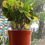 Profile Picture of Wilberto Hernández (@wilberto.hernandez.321703) on Facebook