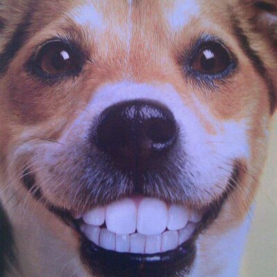 Profile Picture of Paul Grange (@Grangey1967) on Twitter