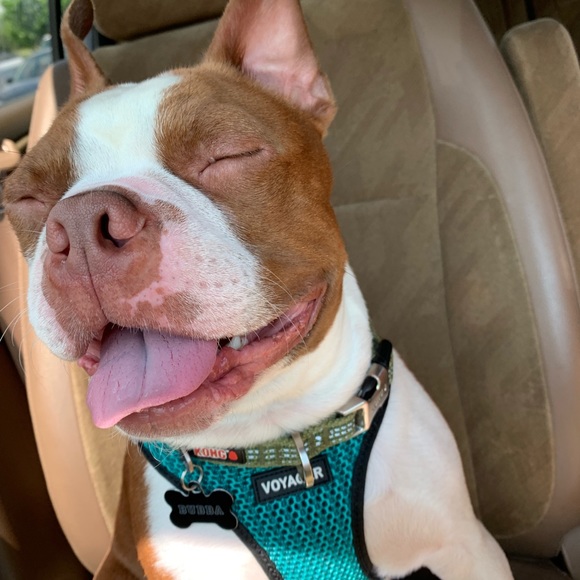 Profile Picture of Elayna Boose (@elaynaboose) on Poshmark