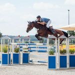 Profile Picture of Klaus Eichert (@eichert_sportpferde) on Instagram