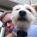 Profile Picture of Steven Phillips (@stevenmichaelphillips) on Instagram