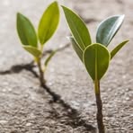 Profile Picture of Joseph Twiggs (@joseph.twiggs.9) on Facebook