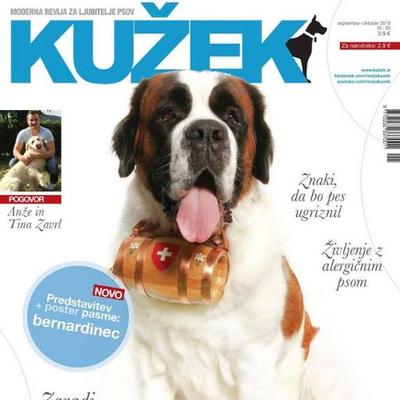 Profile Picture of Kužek (@kuzekjezakon) on Twitter