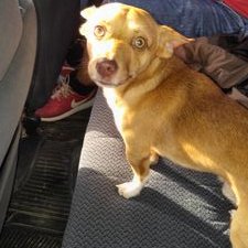 Profile Picture of Ismael Pichardo (@pichardo023) on Twitter