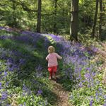 Profile Picture of Hannah jeffery (@estherthejefferyfoodie) on Instagram