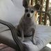Profile Picture of John Claunch (@john.claunch.12) on Facebook
