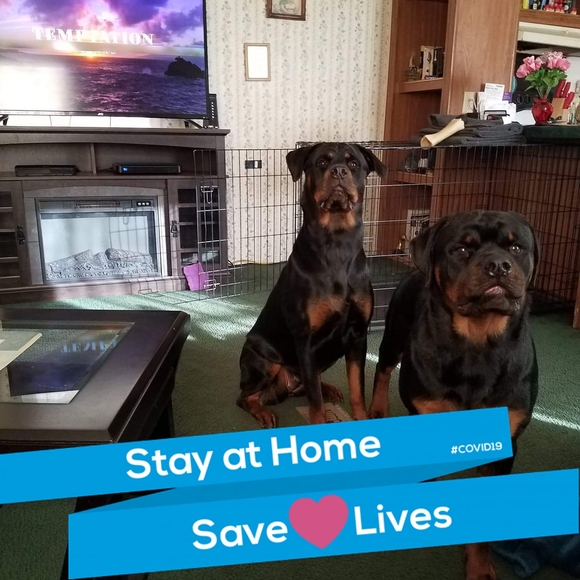 Profile Picture of Misty Goolsby (@mistygoolsby) on Poshmark