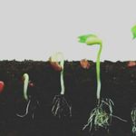 Profile Picture of seedy.thomas (@seedy.thomas) on Instagram