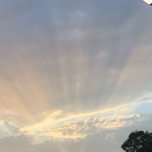 Profile Picture of Kim Winn (@kimmy597) on Poshmark