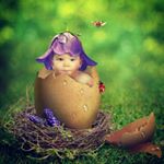 Profile Picture of Amber Joy McConnell (@amberjoymcconnell) on Instagram