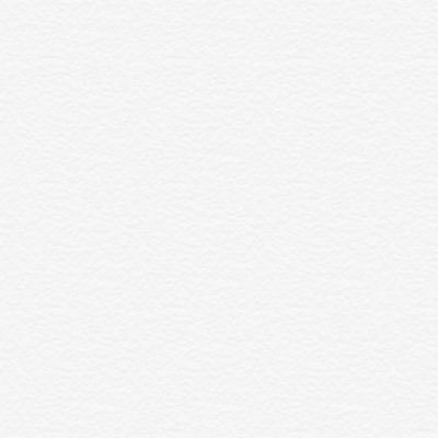 Profile Picture of Andy (@Bann1600) on Twitter