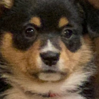 Profile Picture of Jordyn Carpenter (@Carpenterjordy1) on Twitter