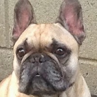 Profile Picture of Jonathan Muckell (@jonathan-muckell) on Quora