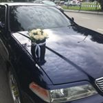 Profile Picture of Роберт (@robert__romanovich) on Instagram