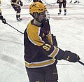 Profile Photo of Matthew Wood (ice hockey)on Wikipedia