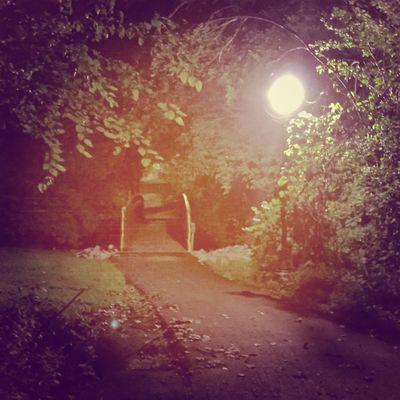 Profile Picture of David Mierendorf (@davemierendorf) on Twitter