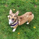 Lucy Carlton - Instagram Profile Picture of Lucy Carlton (@lucy.carlton) on Instagram