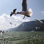 Profile Picture of Yongqing Zhu (@yongqing8272) on Instagram