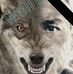 Profile Picture of Adrian LaPointe (@adrian.lapointe.332) on Facebook
