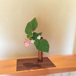 Profile Picture of 衣章 (@shiga.myououji) on Instagram