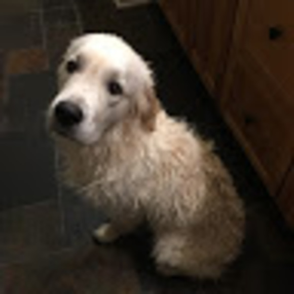 Profile Picture of John Stumbaugh (@jstumbaugh26) on Poshmark