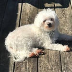 Profile Picture of Robert  Huffman (@r22huffman) on Flickr