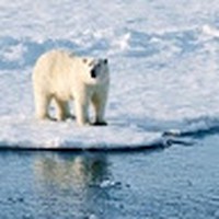 Profile Picture of Joseline Martinez (@joseline-martinez-42) on Quora